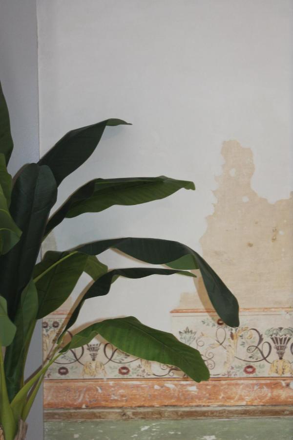 Casa Das Quatro Cabecas Setúbal Exteriér fotografie